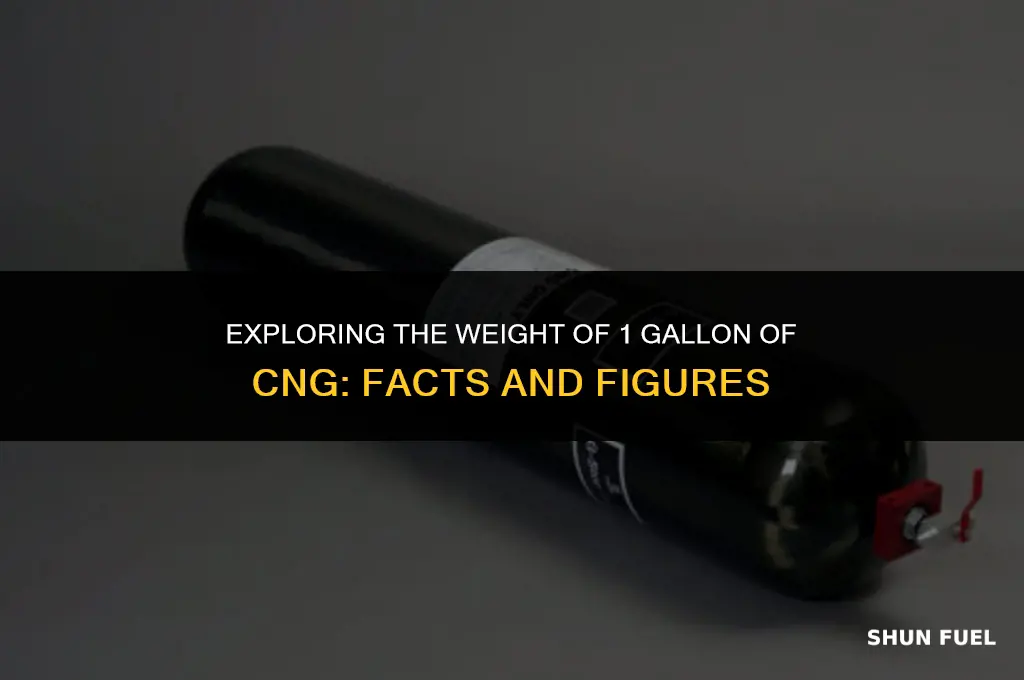 how much does 1 gallon of cng weigh