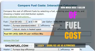 Fuel Costs: Gallon Price Analysis