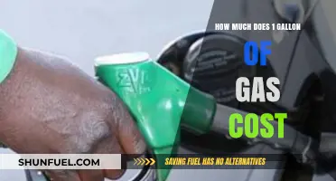 The True Cost of a Gallon of Gas