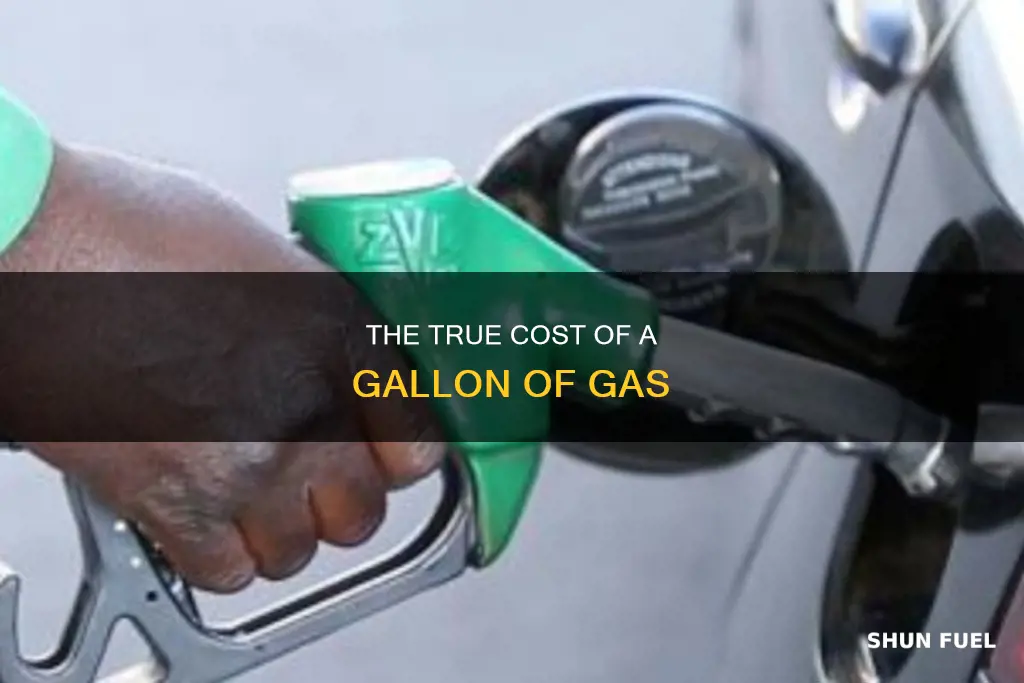 how much does 1 gallon of gas cost