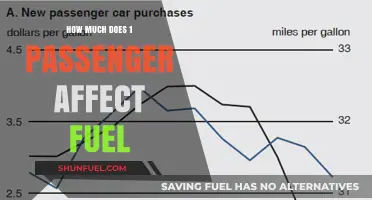 Extra Weight, Extra Fuel: The Cost of Carrying Passengers