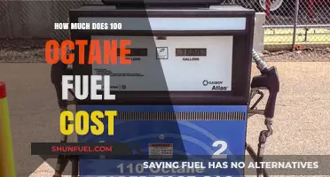 The High Cost of High-Octane Fuel