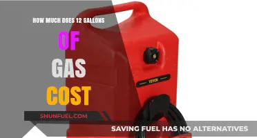 The Cost of Filling Up: 12 Gallons of Gas
