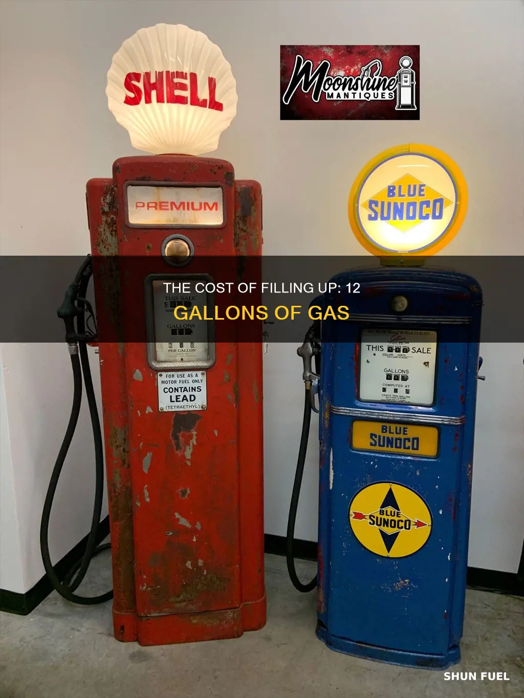 how much does 12 gallons of gas cost