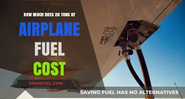 Airplane Fuel Costs: 20 Tons Pricetag