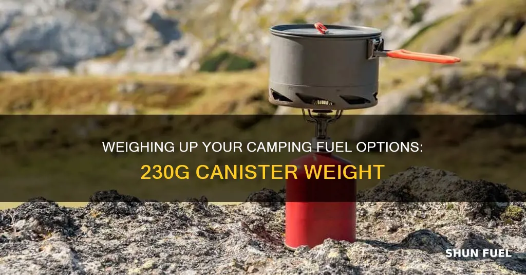 how much does 230 g fuel canister weigh