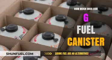 The Cost of Adventure: 230g Fuel Canisters