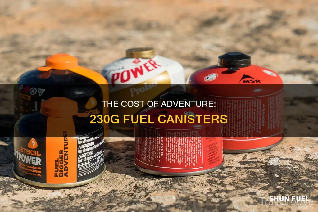 how much does 230 g fuel canister