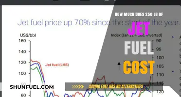 Jet Fuel Cost: Expensive Energy Source?
