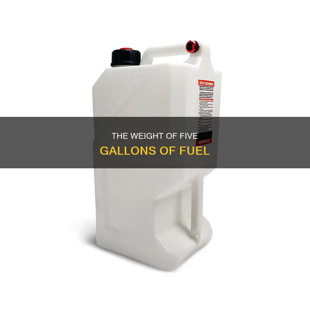 how much does 5 gallons of fuel weigh