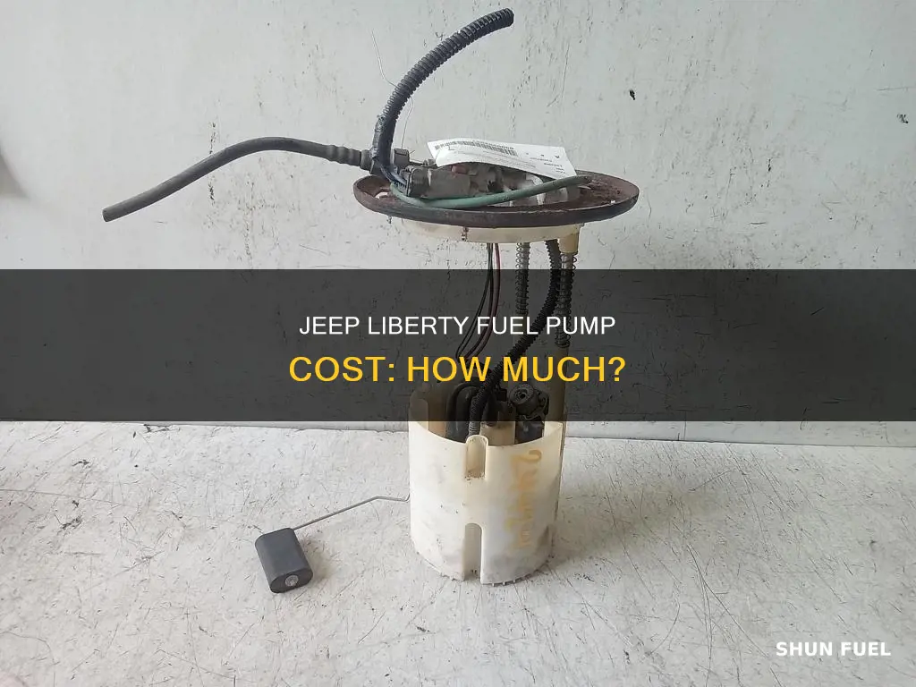 how much does a 02 jeep liberty fuel pump cost