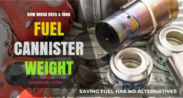 Lightweight Camping: Fuel Cannister Weights Explored
