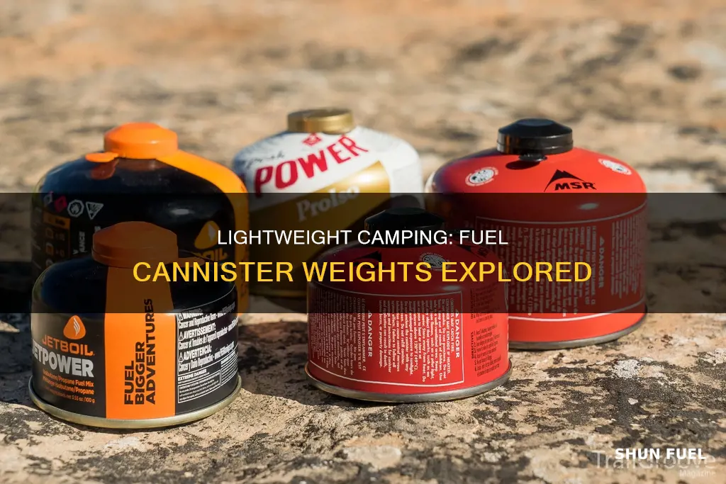 how much does a 100g fuel cannister weight