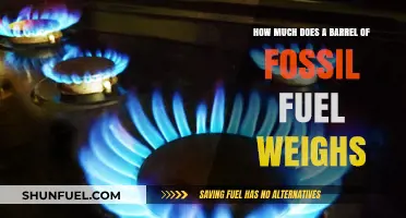Barrel Weights: Fossil Fuels and Energy's Heavy Burden