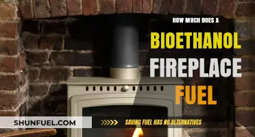 Bioethanol Fuel Costs: How Much Does It Burn?