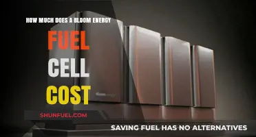 The High Cost of Bloom Energy Fuel Cells