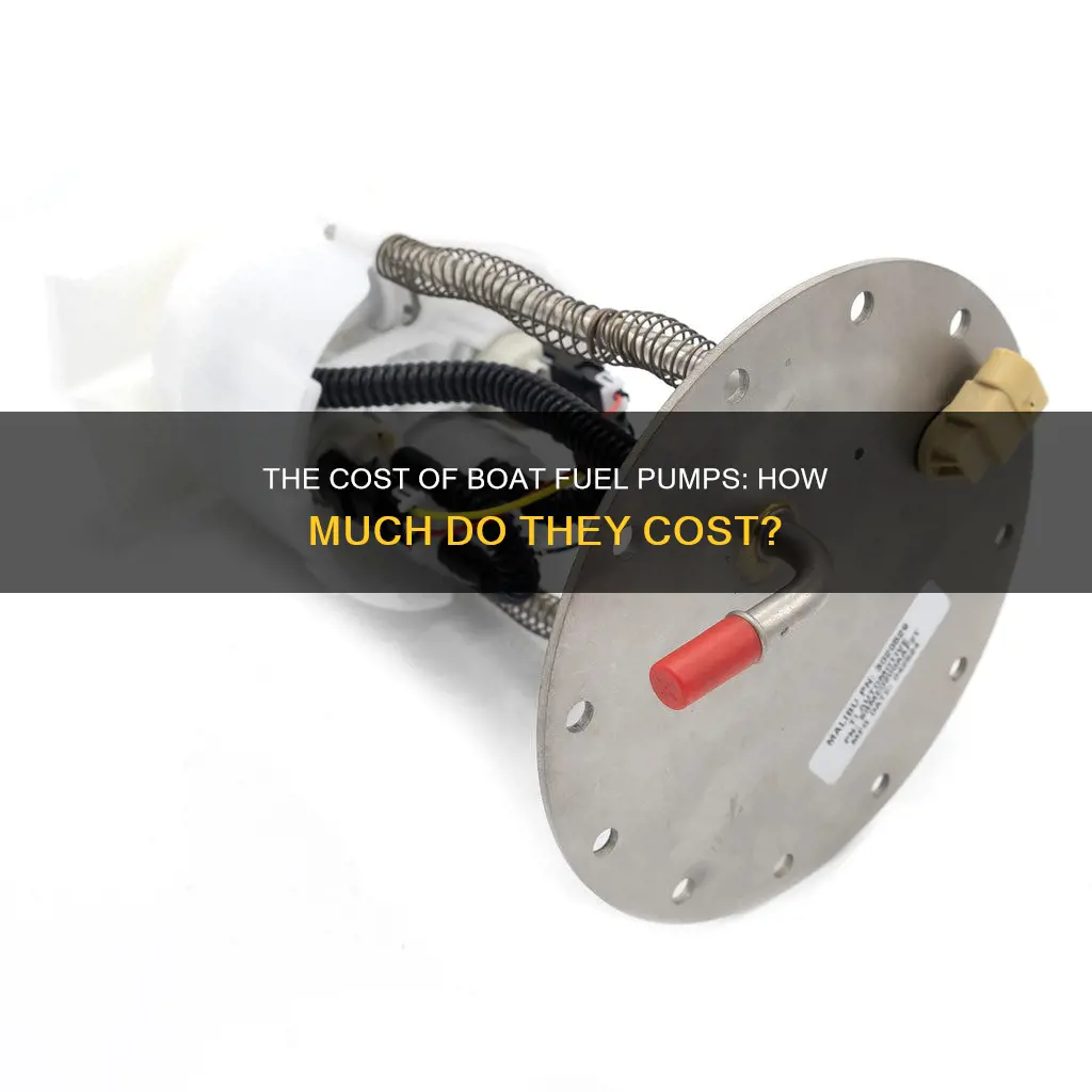 how much does a boat fuel pump cost