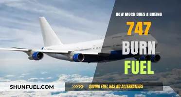 Boeing 747 Fuel Consumption: Burning Through the Dollars