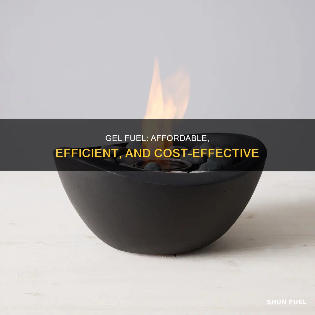 how much does a can of gel fuel cost