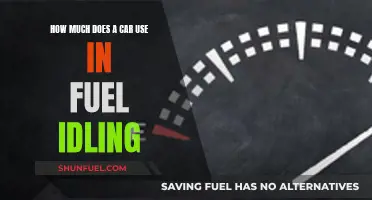Idling Cars: Fuel Consumption and Environmental Impact