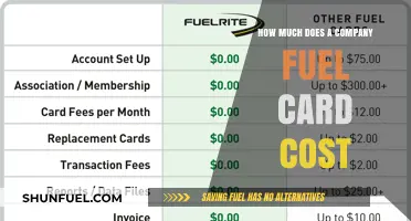 Fuel Card Costs: How Much Does it Actually Cost Companies?