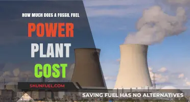 The High Cost of Fossil Fuel Power Plants