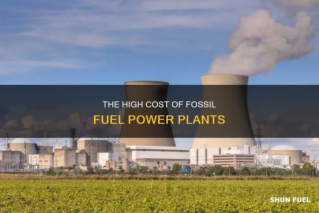 how much does a fossil fuel power plant cost