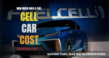 Fuel Cell Cars: Expensive Revolution or Affordable Future?