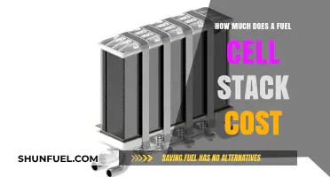 Fuel Cell Stack Costs: What's the Bottom Line?
