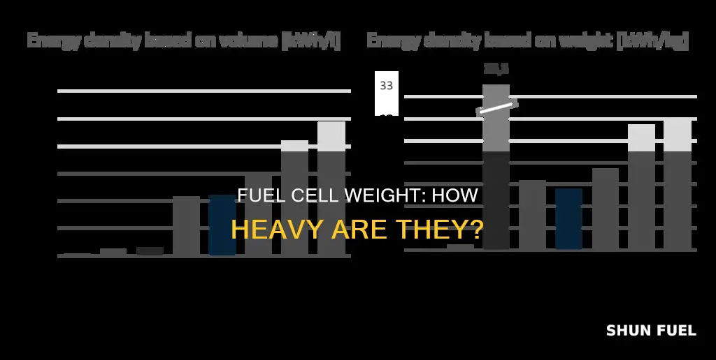 how much does a fuel cell weigh
