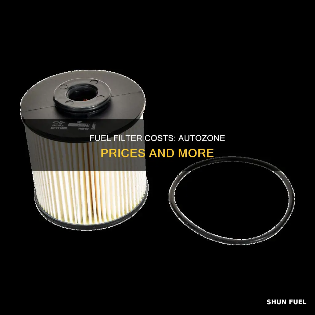 how much does a fuel filter cost at autozone