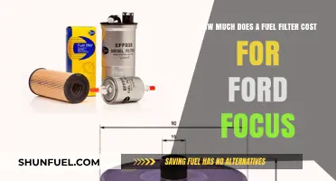 Ford Focus Fuel Filter Cost: How Much?