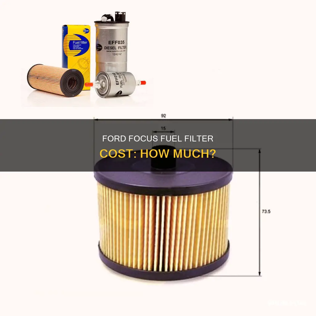how much does a fuel filter cost for ford focus