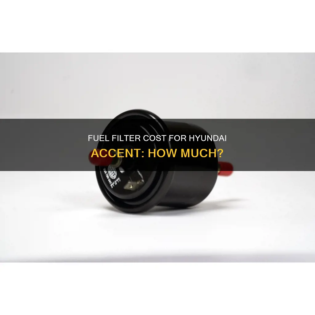 how much does a fuel filter cost hyundai accent
