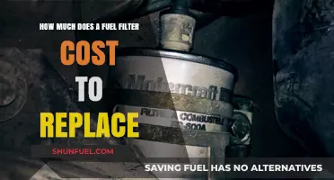 Fuel Filter Replacement: Cost Breakdown and DIY Tips