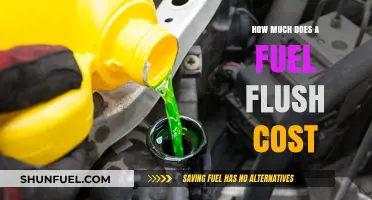 Fuel Flush Cost: How Much Does It Take?