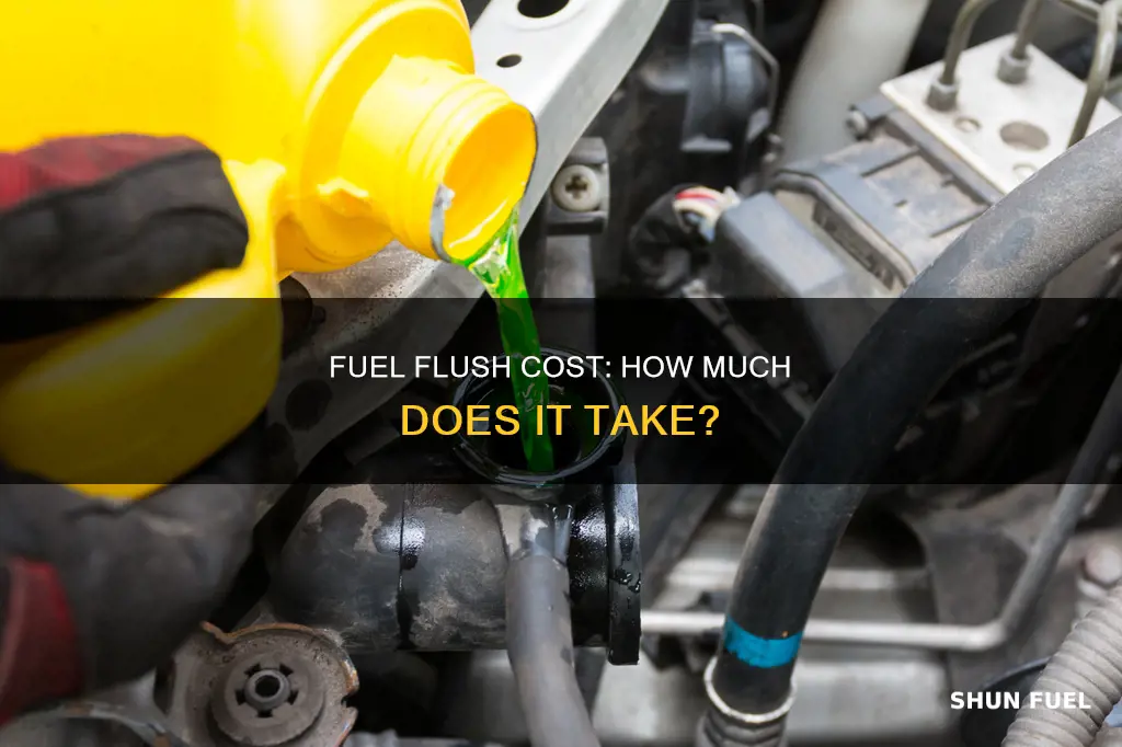 how much does a fuel flush cost