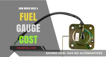 Fuel Gauge Cost: What's the Price of Peace of Mind?