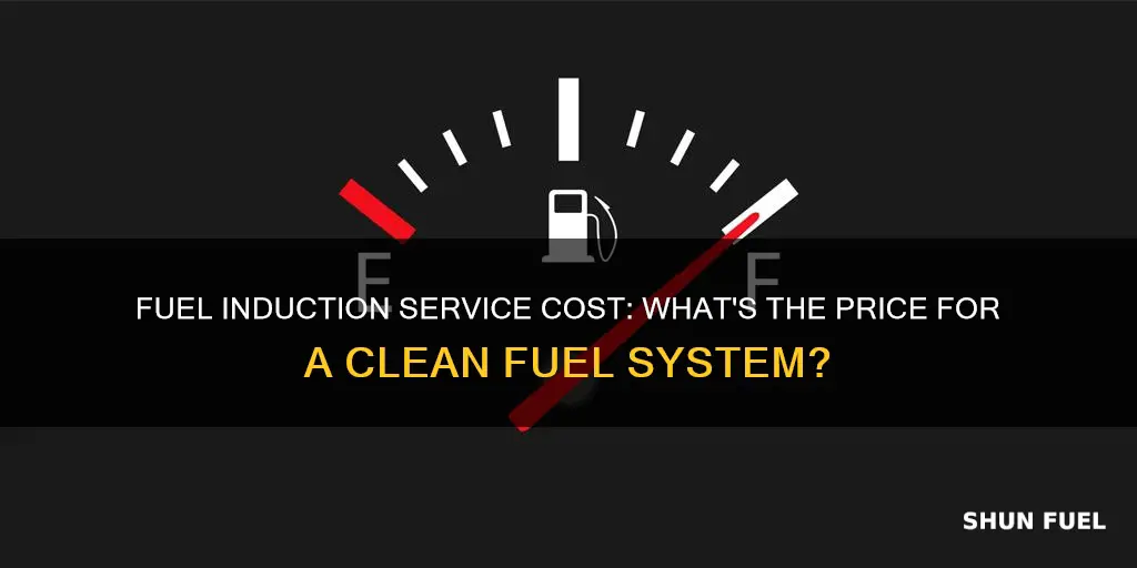 how much does a fuel induction service cost