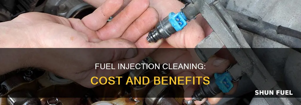 how much does a fuel injection cleaning cost