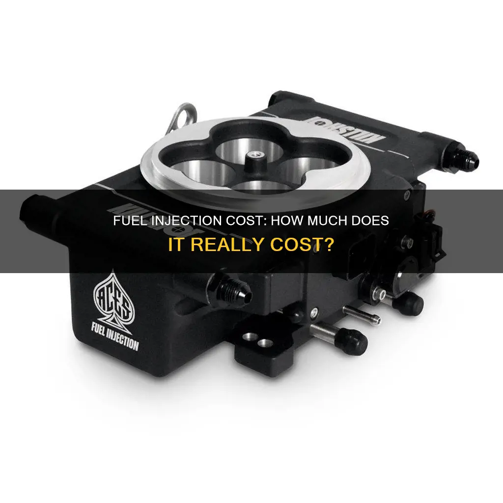 how much does a fuel injection cost