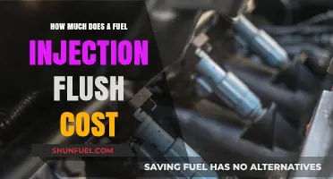 Fuel Injection Flush: Cost and Benefits