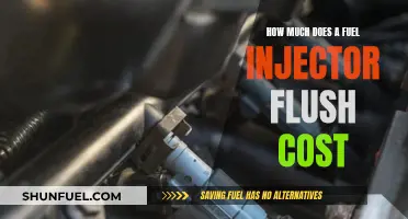 Fuel Injector Flush Cost: What to Expect?