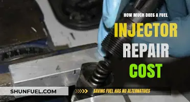 Fuel Injector Repairs: Cost and Maintenance Tips