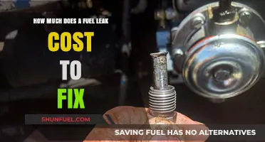 Fuel Leak Repairs: Cost and Consequences