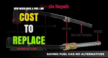 Fuel Line Replacement: Cost and When to Change It