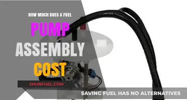 Fuel Pump Assembly Cost: What's the Price Tag?