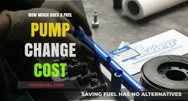 Fuel Pump Replacement: Cost and When to Change It