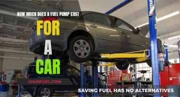 Fuel Pump Cost: Expensive Car Maintenance