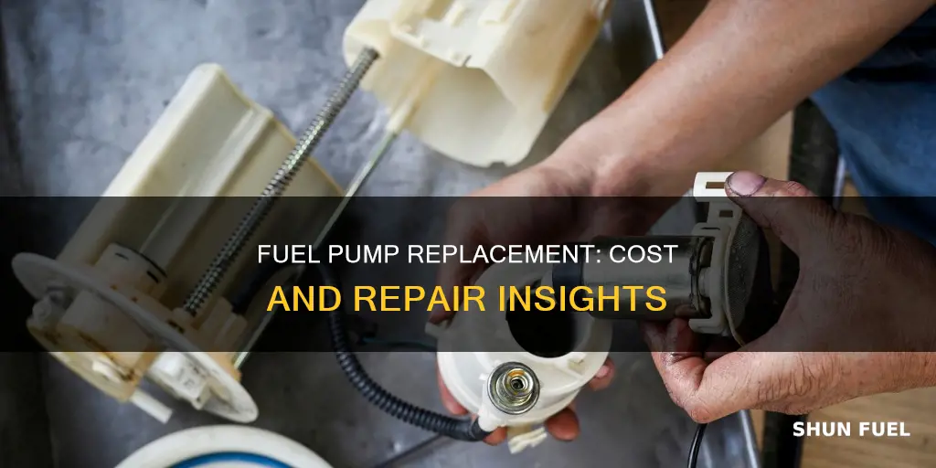 how much does a fuel pump cost ro replace